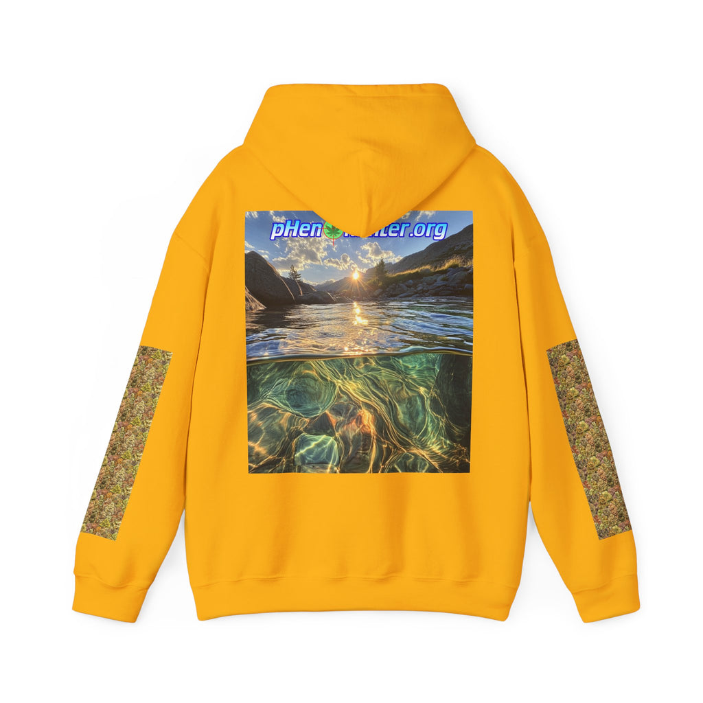 pH Trichome Heavy Blend™ Hoodie