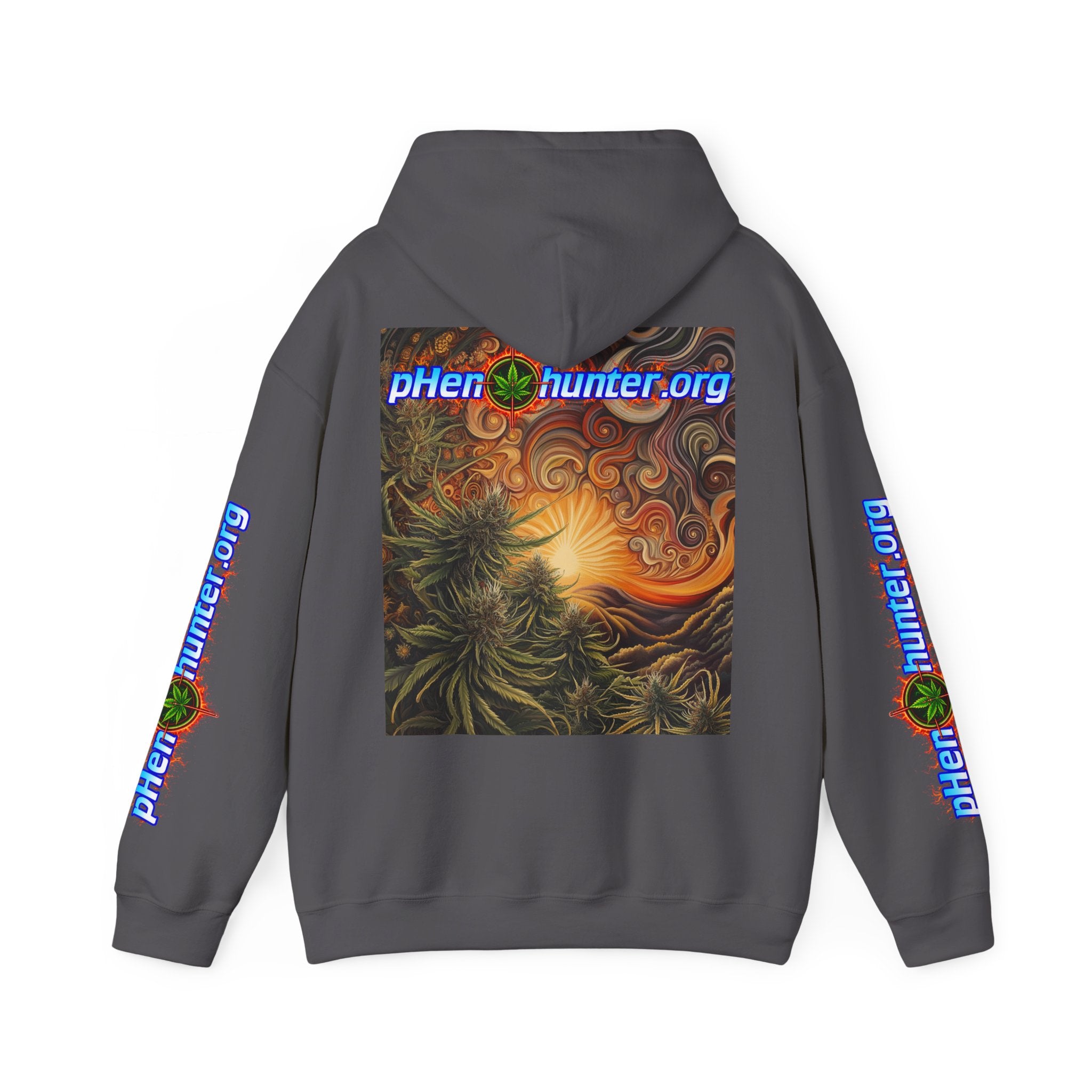 pH Fire - Heavy Blend™ Hoodie