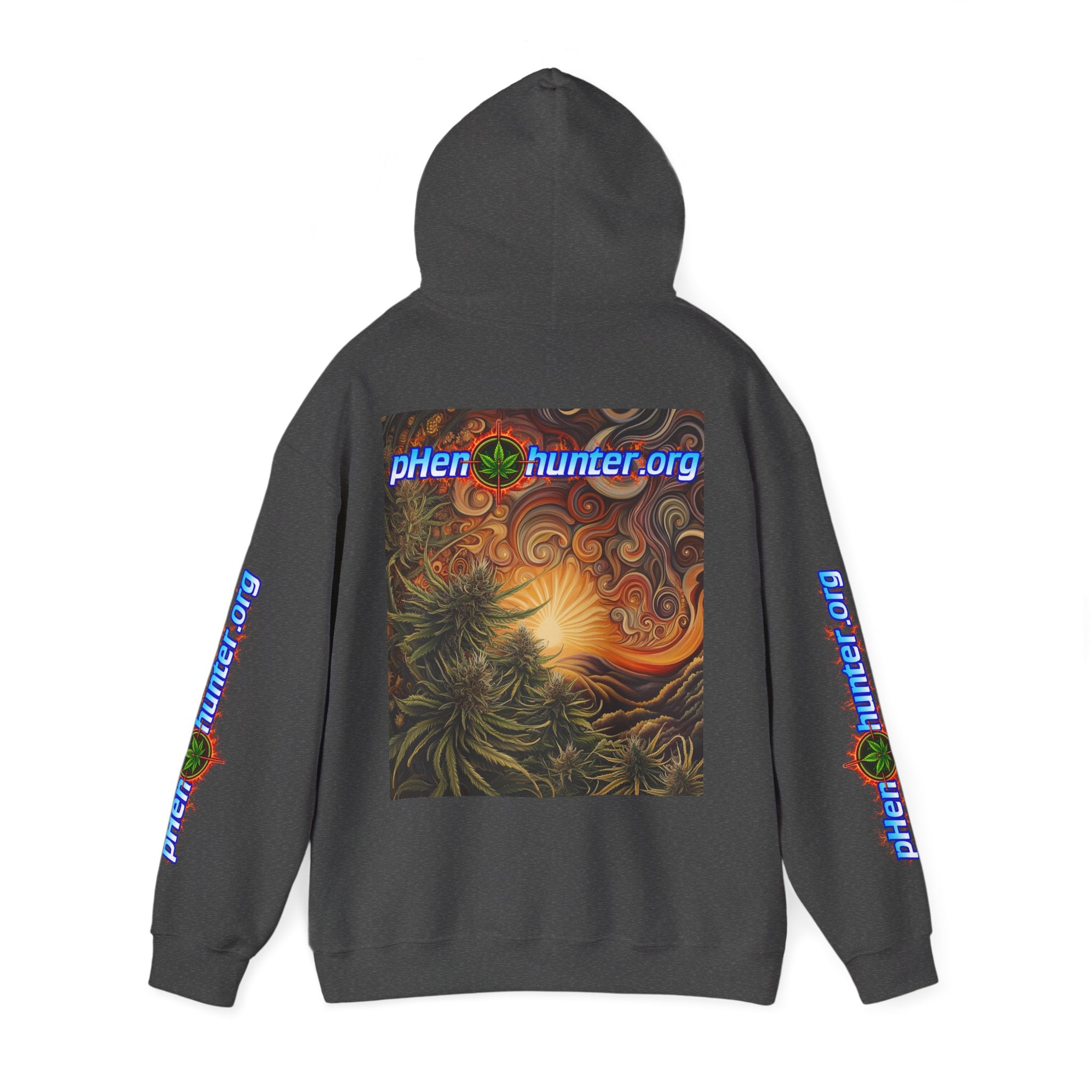 pH Fire - Heavy Blend™ Hoodie