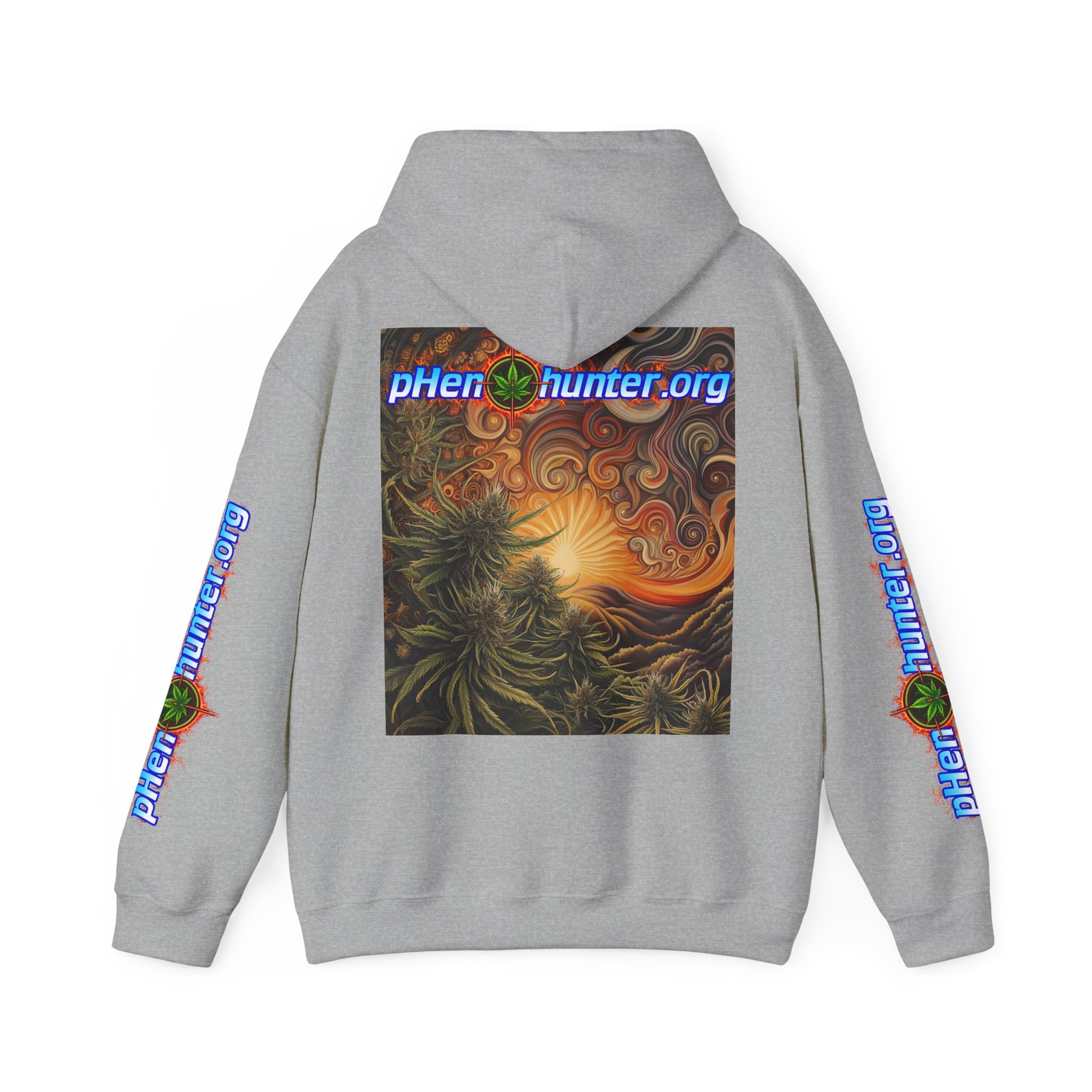 pH Fire - Heavy Blend™ Hoodie