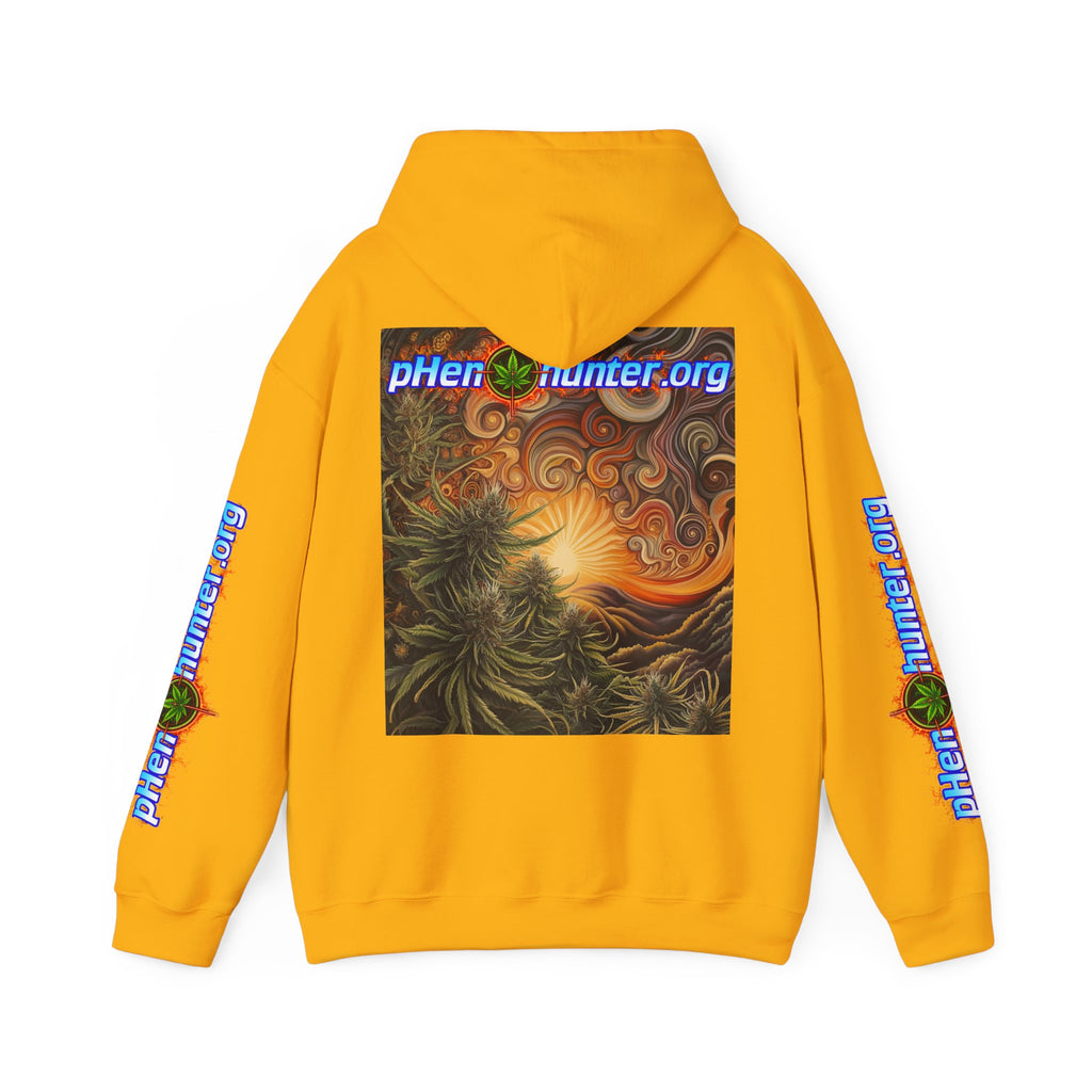 pH Fire - Heavy Blend™ Hoodie