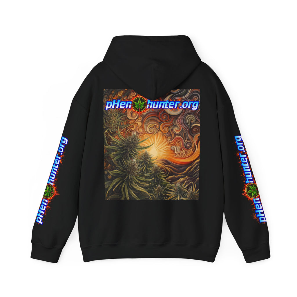 pH Fire - Heavy Blend™ Hoodie