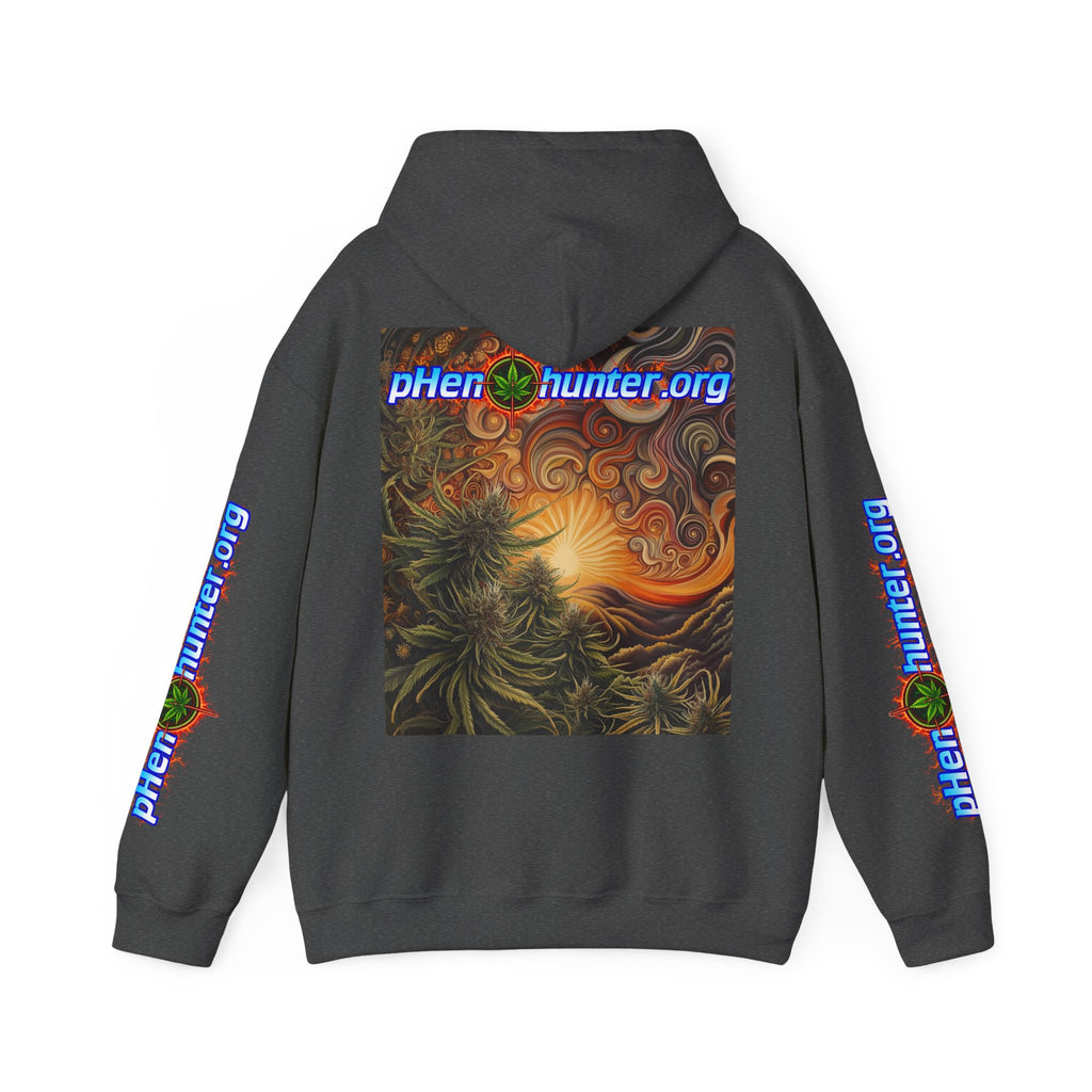 pH Fire - Heavy Blend™ Hoodie