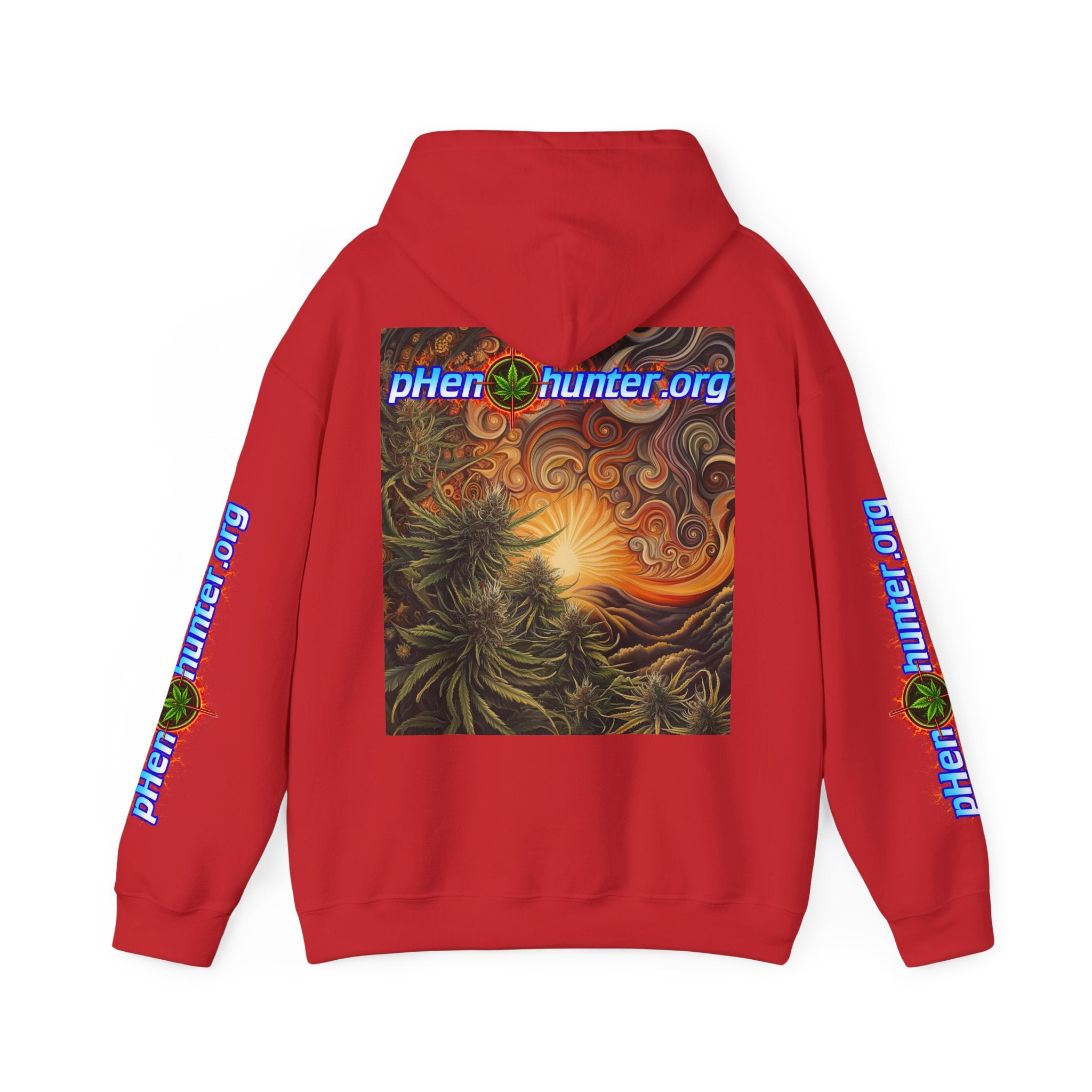 pH Fire - Heavy Blend™ Hoodie