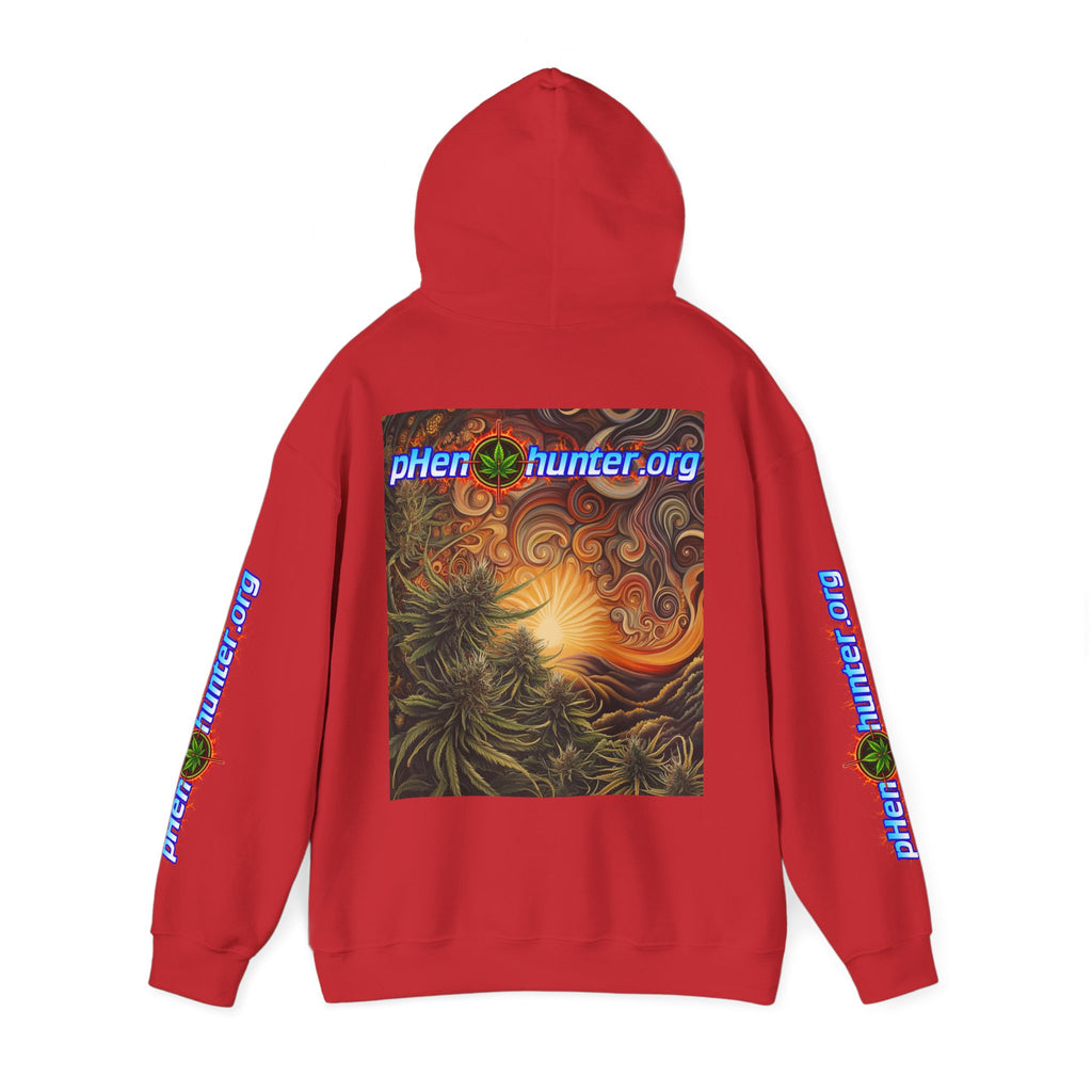 pH Fire - Heavy Blend™ Hoodie