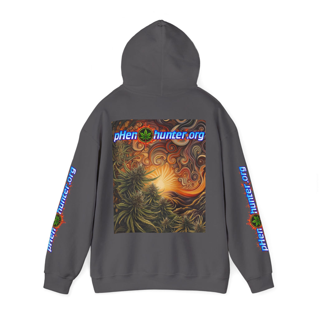 pH Fire - Heavy Blend™ Hoodie
