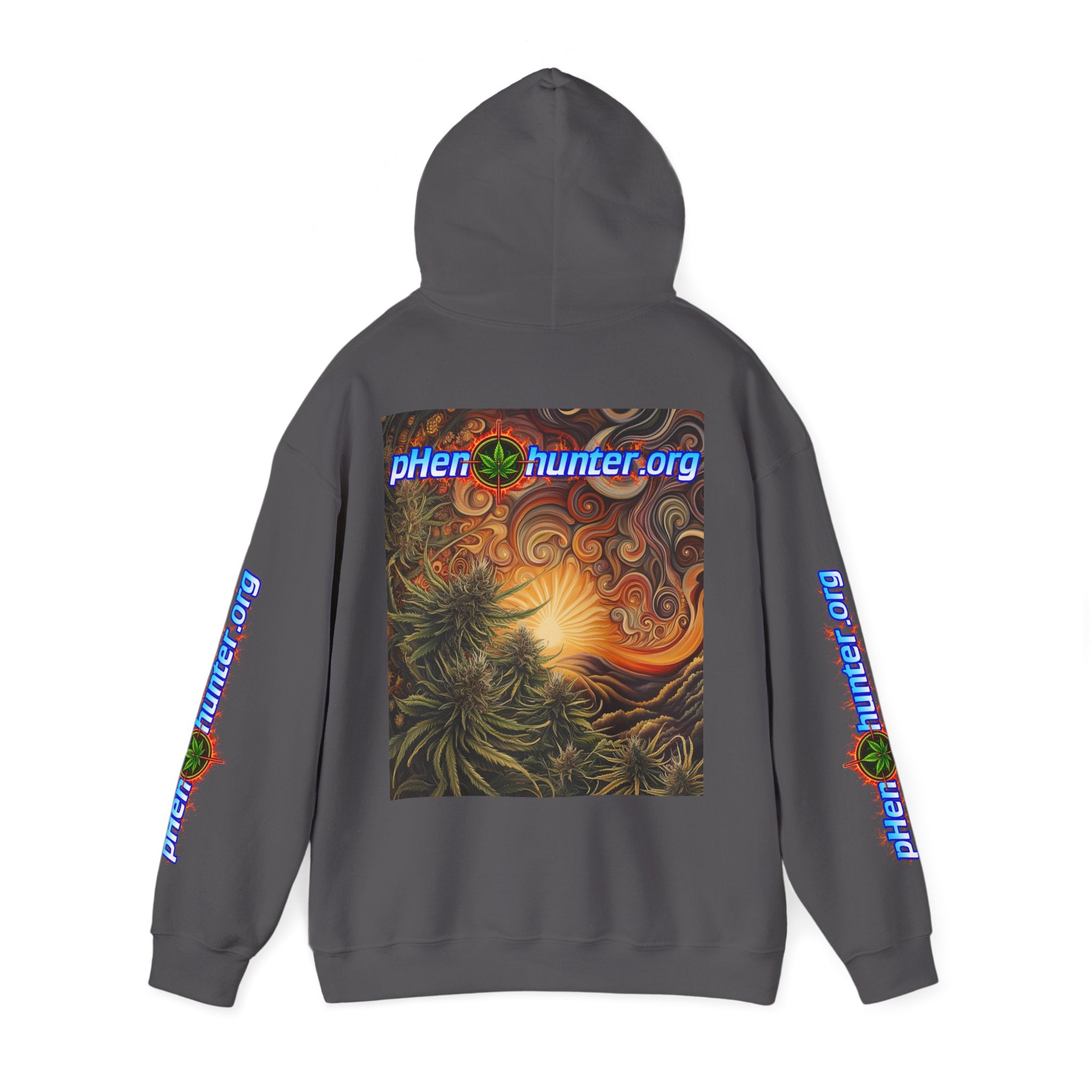 pH Fire - Heavy Blend™ Hoodie