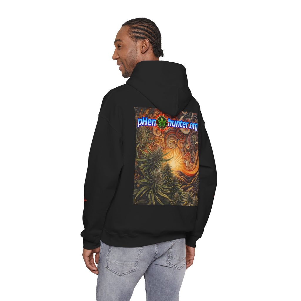 pH Fire - Heavy Blend™ Hoodie