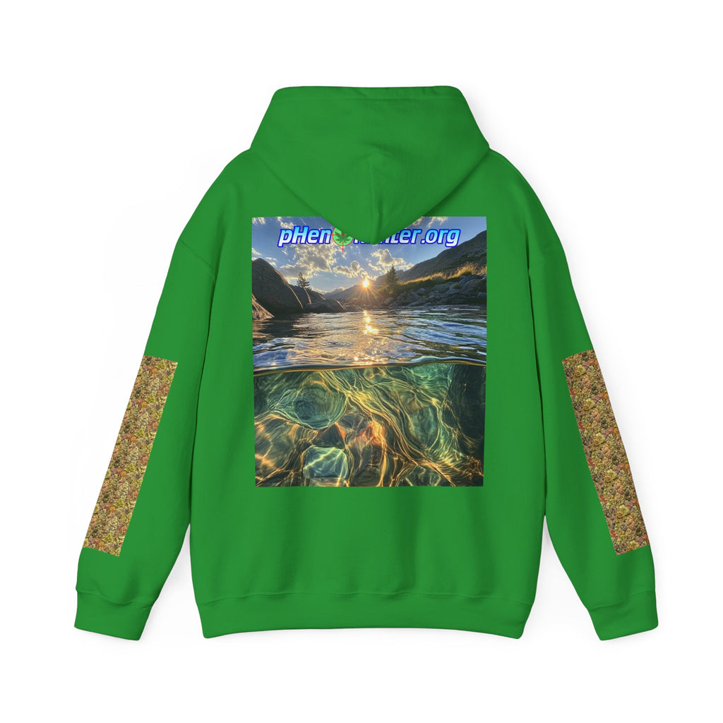 pH Trichome Heavy Blend™ Hoodie