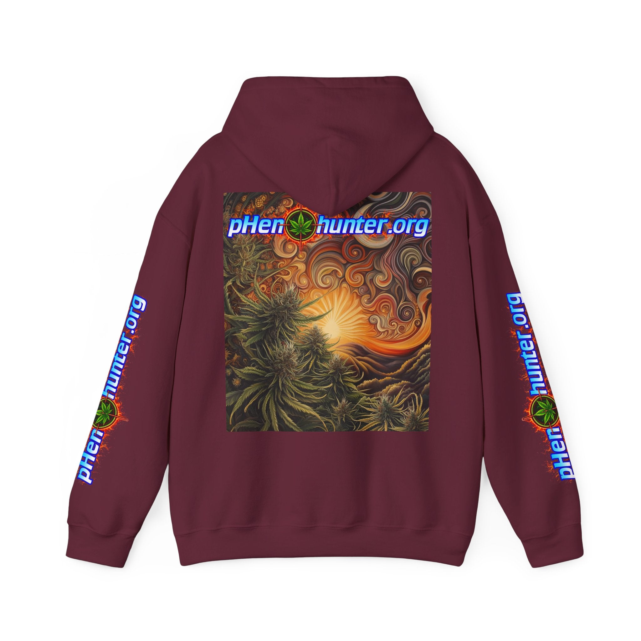 pH Fire - Heavy Blend™ Hoodie