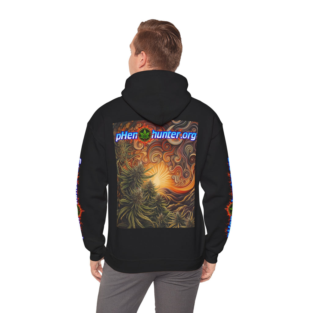 pH Fire - Heavy Blend™ Hoodie