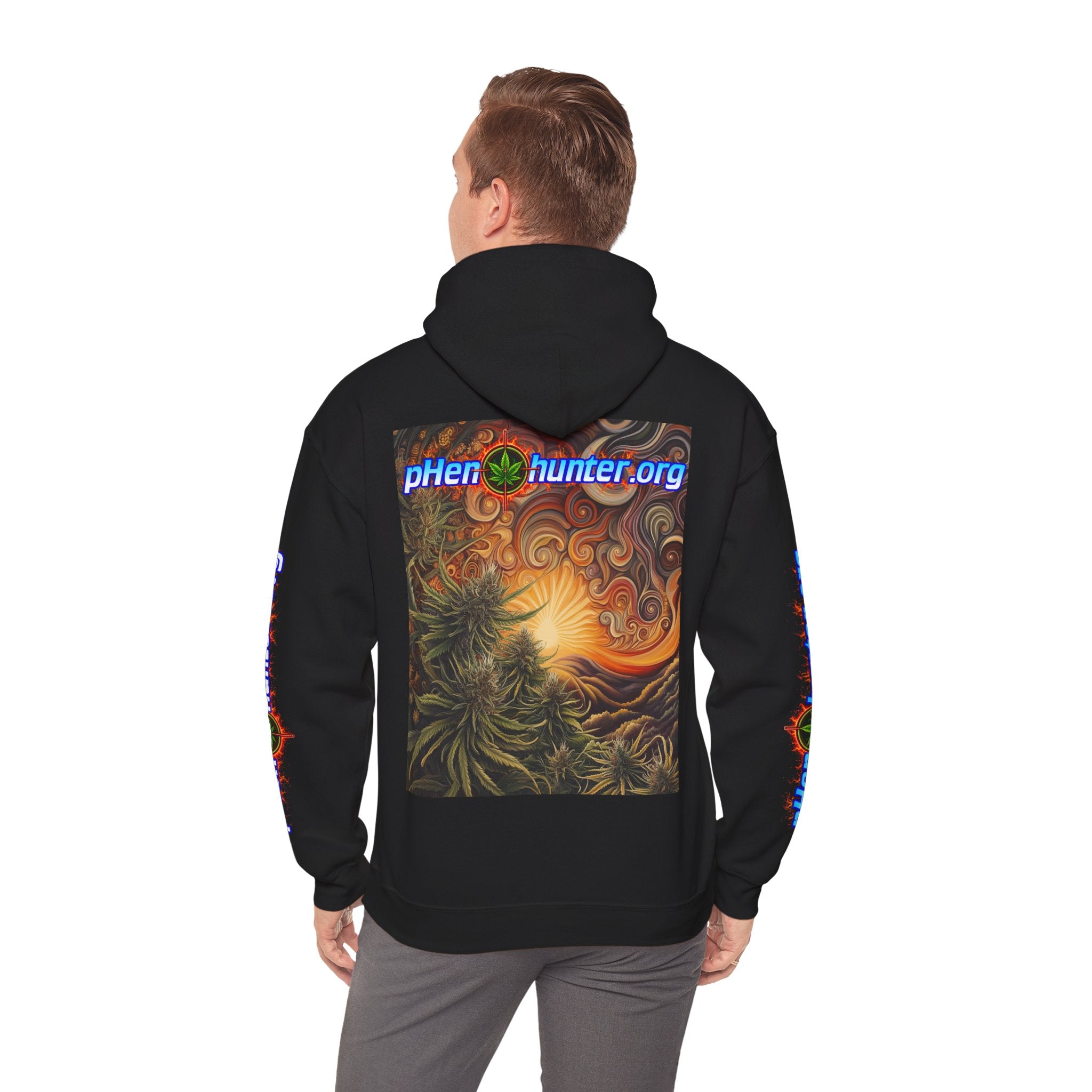 pH Fire - Heavy Blend™ Hoodie