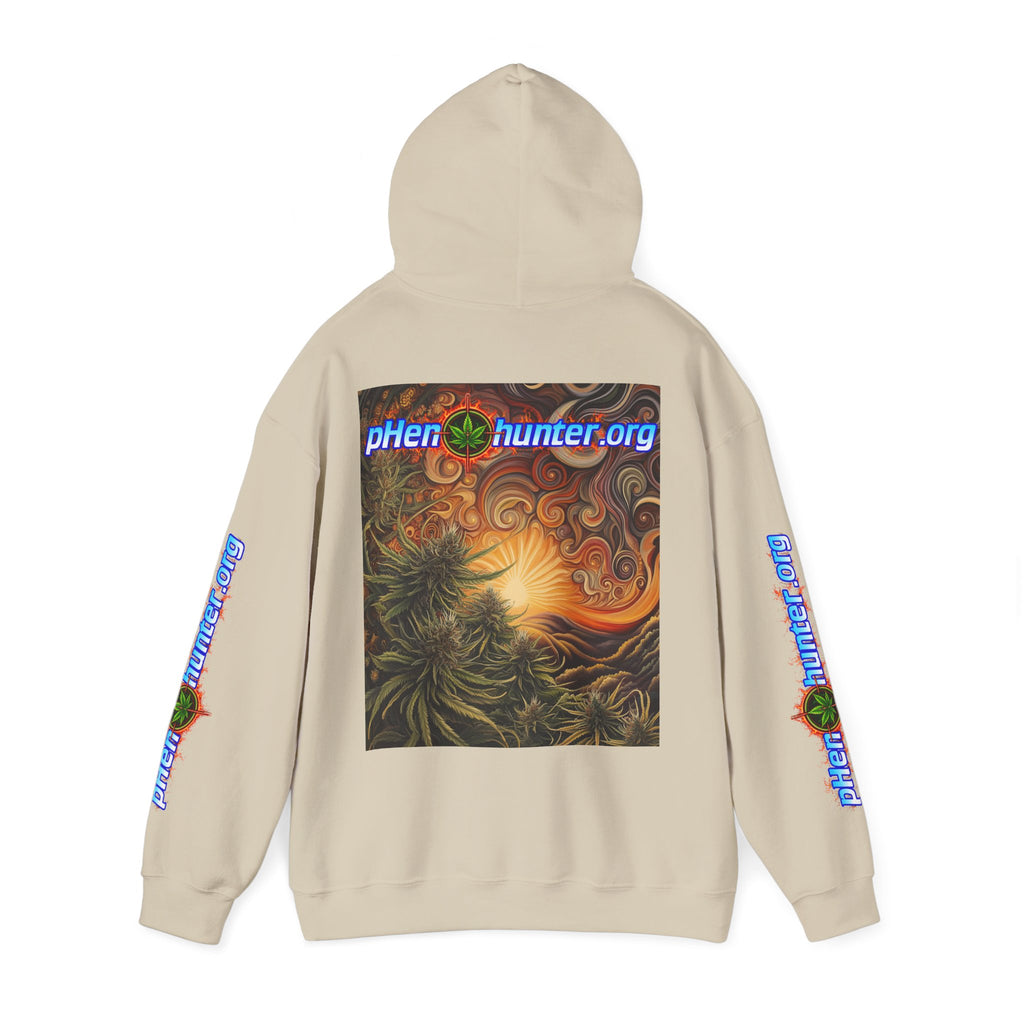 pH Fire - Heavy Blend™ Hoodie
