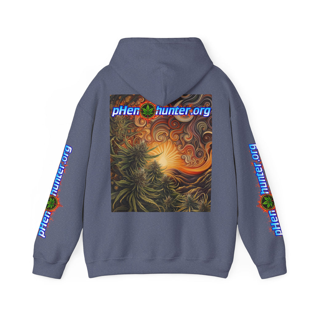pH Fire - Heavy Blend™ Hoodie