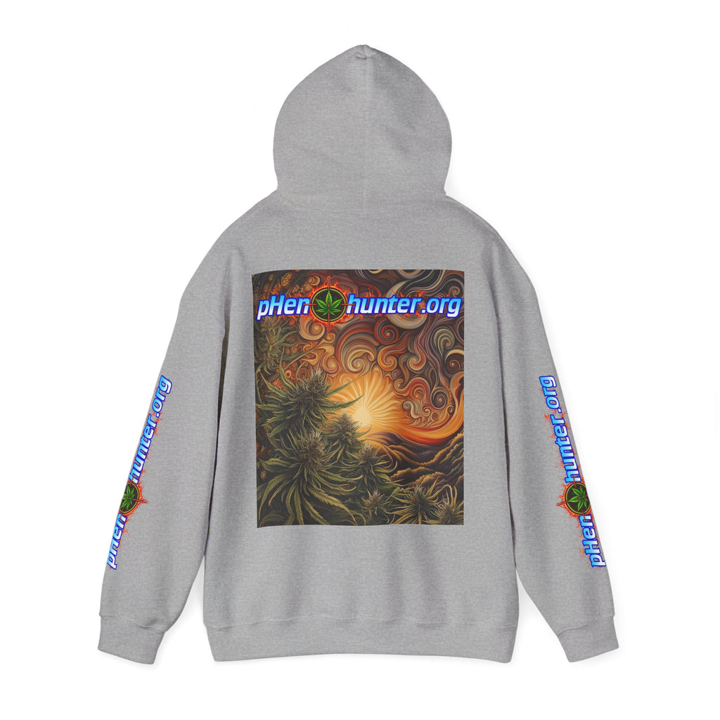 pH Fire - Heavy Blend™ Hoodie