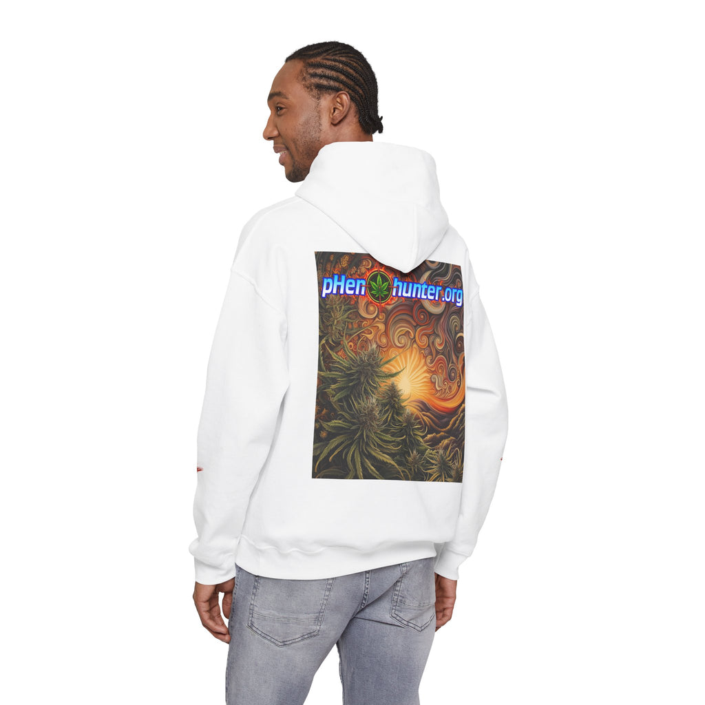 pH Fire - Heavy Blend™ Hoodie
