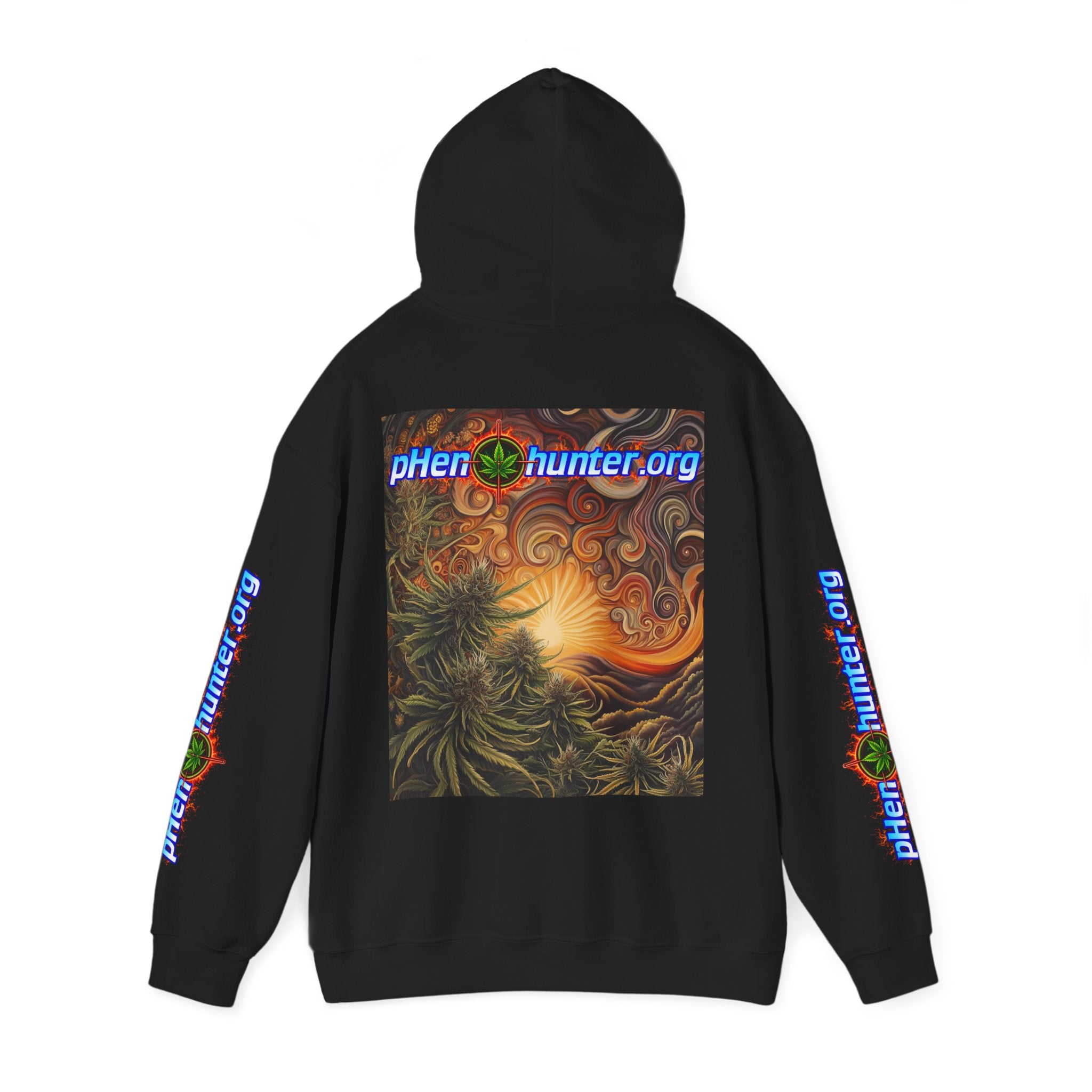 pH Fire - Heavy Blend™ Hoodie