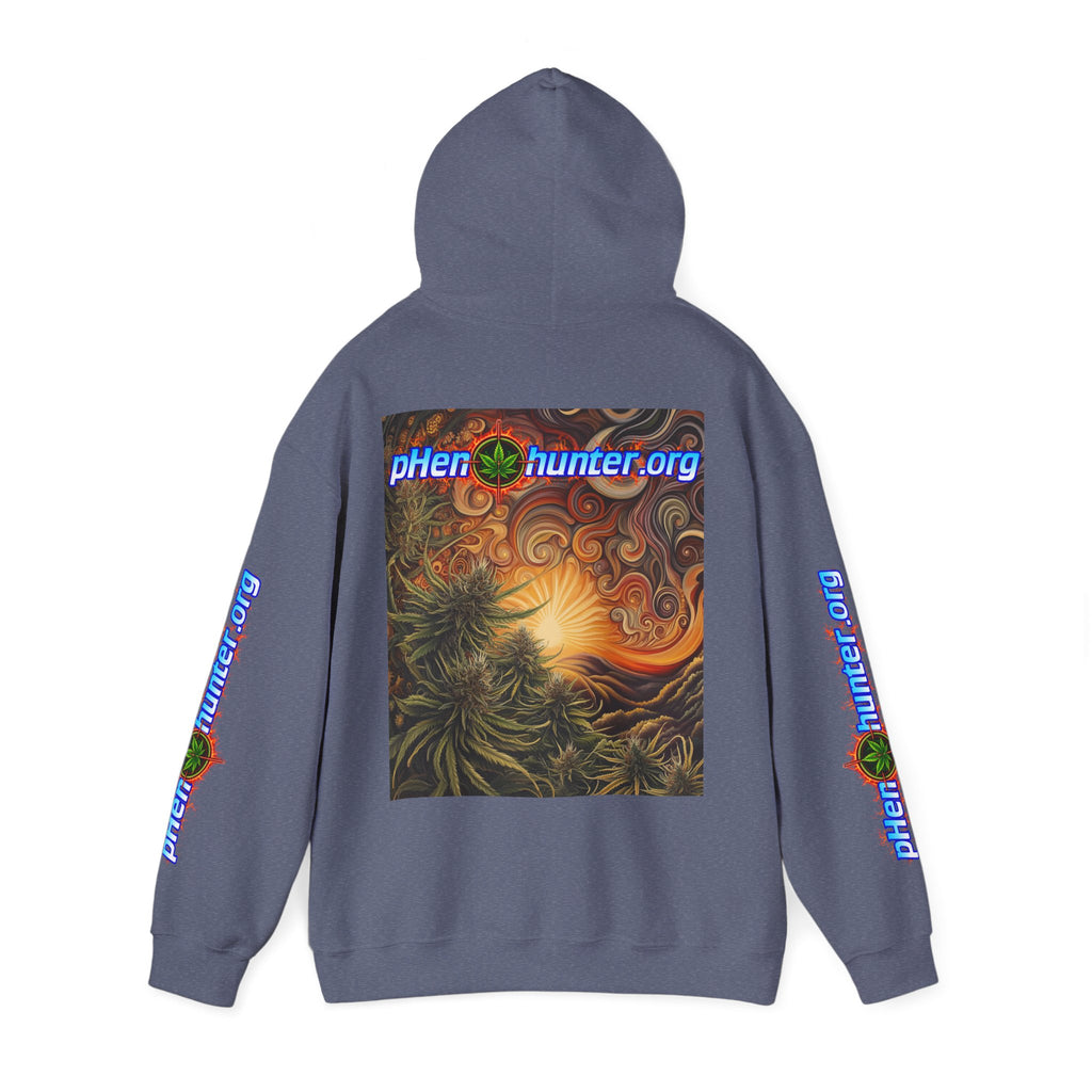 pH Fire - Heavy Blend™ Hoodie