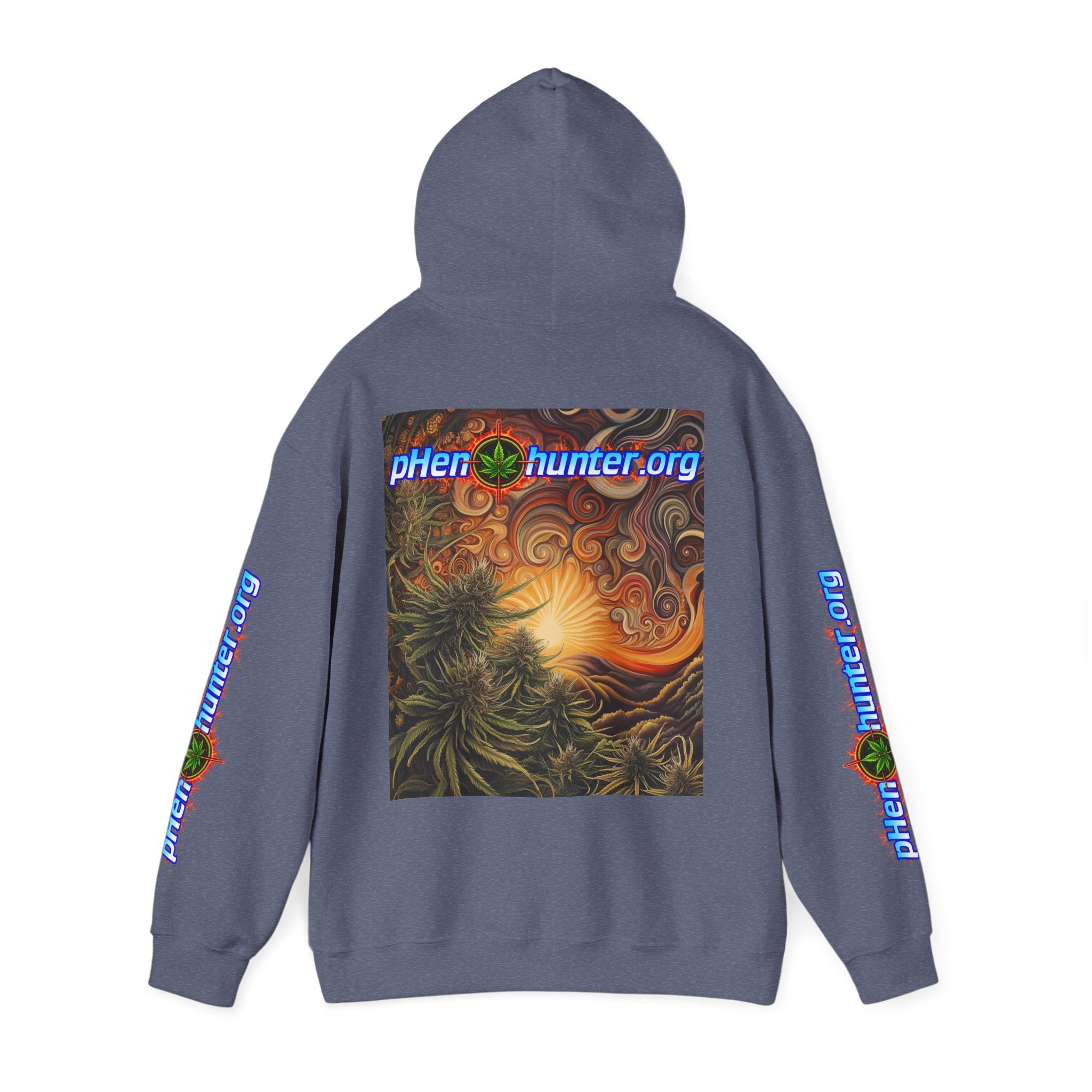 pH Fire - Heavy Blend™ Hoodie