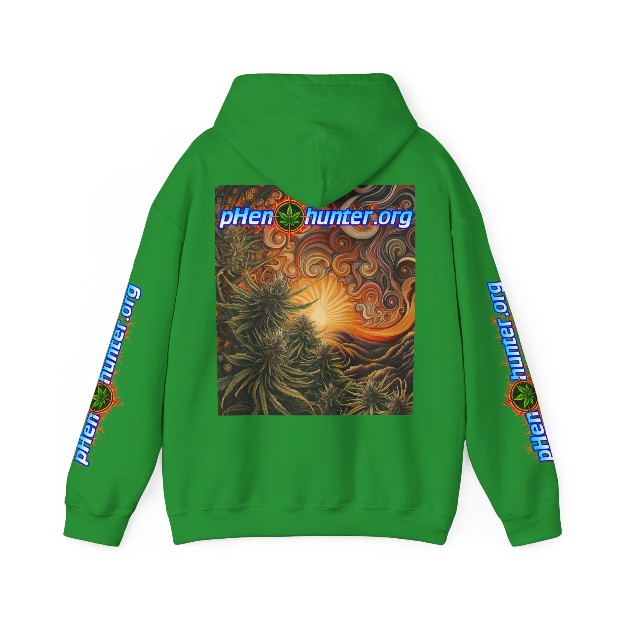 pH Fire - Heavy Blend™ Hoodie