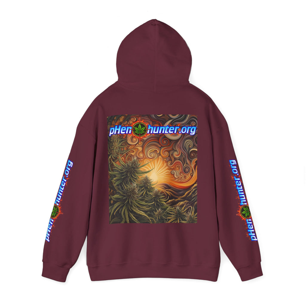 pH Fire - Heavy Blend™ Hoodie