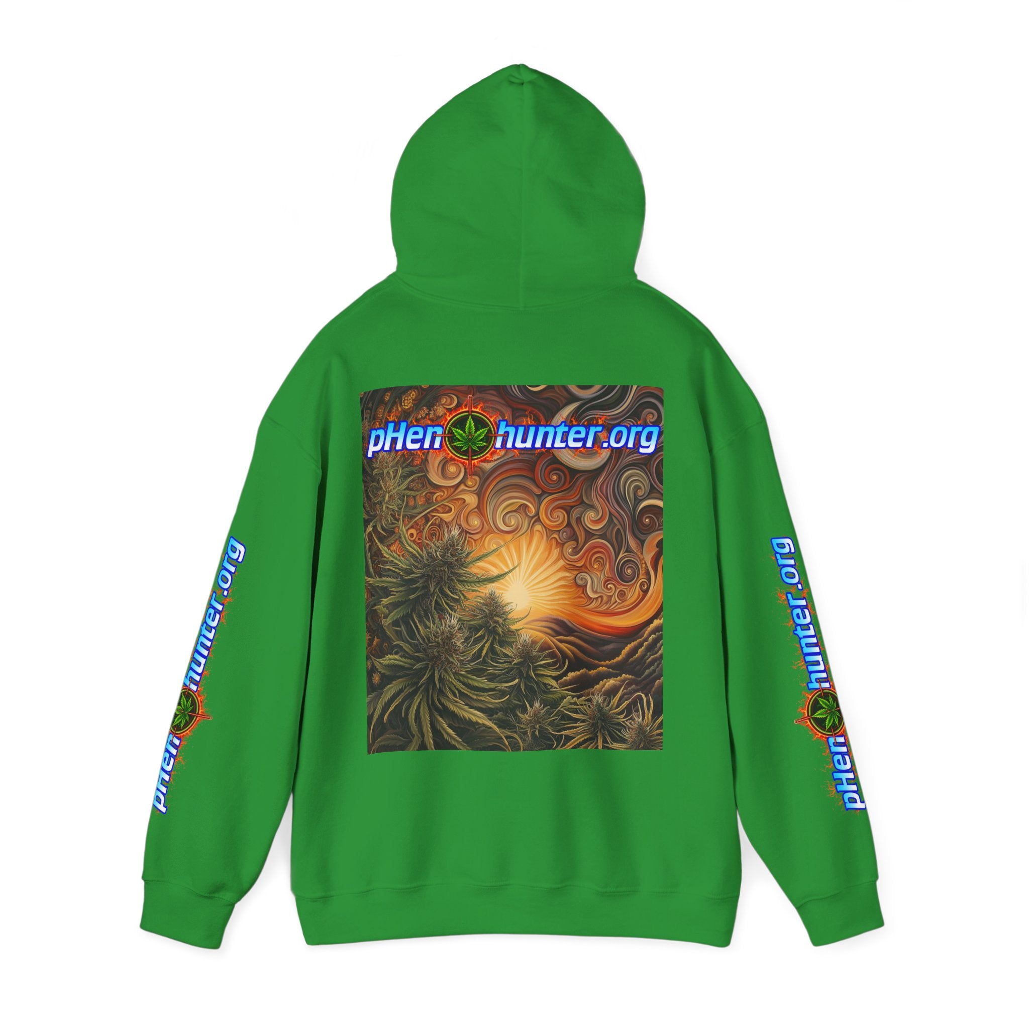 pH Fire - Heavy Blend™ Hoodie