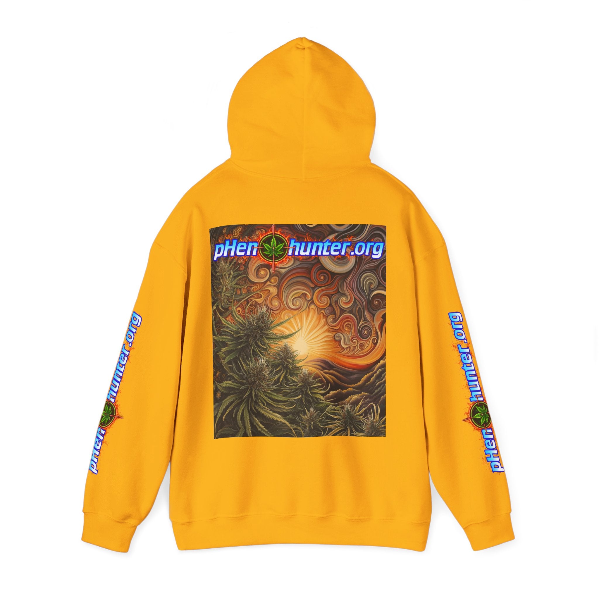 pH Fire - Heavy Blend™ Hoodie